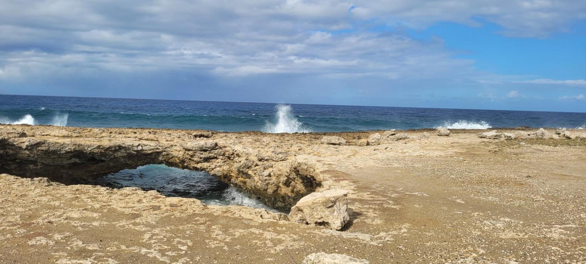 Cattleya Apartments Curacao Виллемстад Экстерьер фото